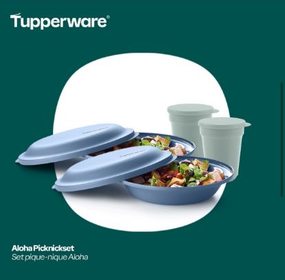 Afbeeldingen van Tupperware Aloha picknickset