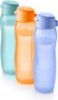 Afbeeldingen van Tupperware Set Ecoflessen Slim 750ml (3)