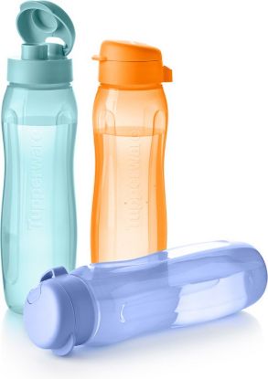 Afbeeldingen van Tupperware Set Ecoflessen Slim 750ml (3)